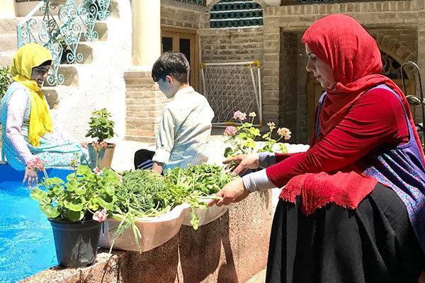 گره؛ نگاهی به شفایافتگان امام رضا (ع) ، از شفا یافتن بیمار مبتلا به سرطان تا ماجرای کودک فلج