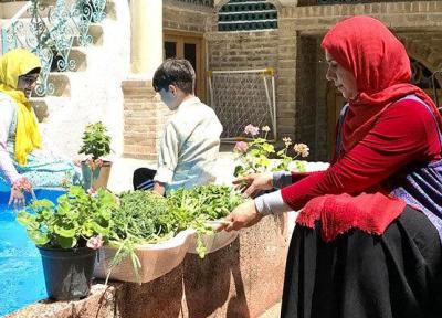 گره؛ نگاهی به شفایافتگان امام رضا (ع) ، از شفا یافتن بیمار مبتلا به سرطان تا ماجرای کودک فلج