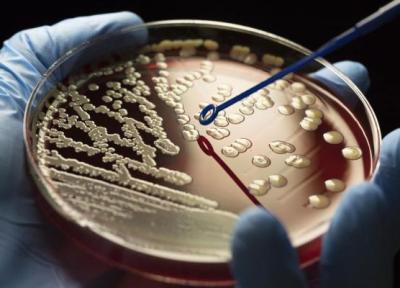 افزایش ظهور اَبَر میکروب ها: مقابله با بحران مقاومت آنتی بیوتیکی
