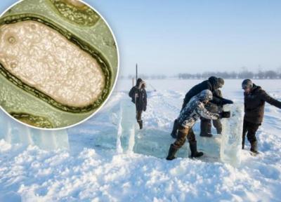 هشدار همه گیری ویروس های زامبی قطب شمال!