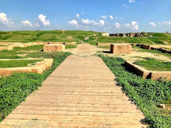 کاخ آپادانای شوش ، کاخ زمستانی پادشاهان هخامنشی